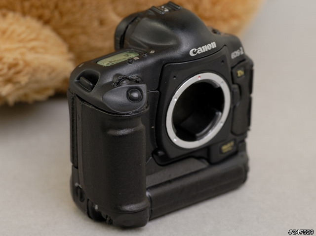【分享】Canon EOS-1Ds Mark II + EF 600mm F4