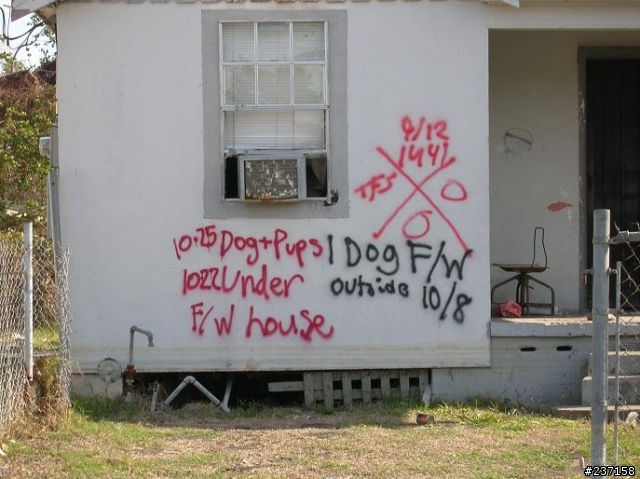 [異鄉圖片遊記] 卡崔娜之後...系列報導二 (災區情況)  (圖多,但值得耐心等待!)