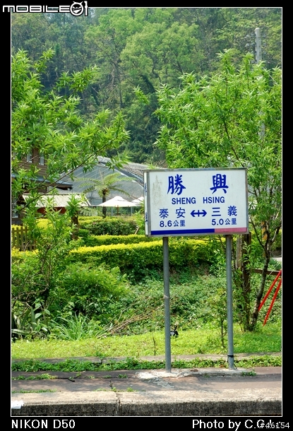 [D50]勝興車站，龍騰斷橋