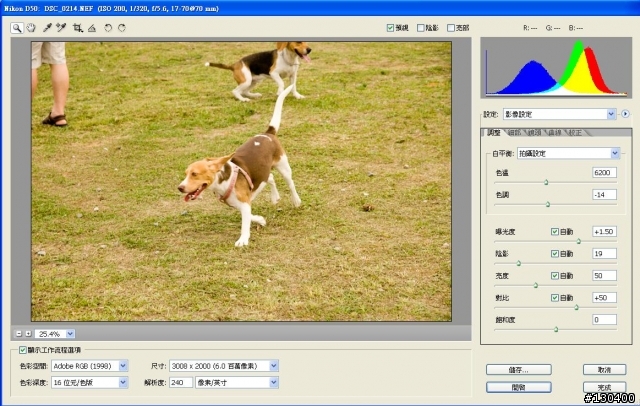 PHOTOSHOP CS2沒辦法讀取你的RAW嗎?