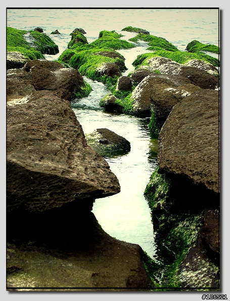 [canon s45]我也來去老梅.......