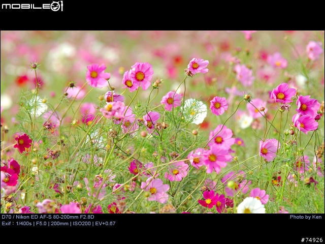 補Nikon AF-S 80-200mm F2.8D小黑四拍攝的真相