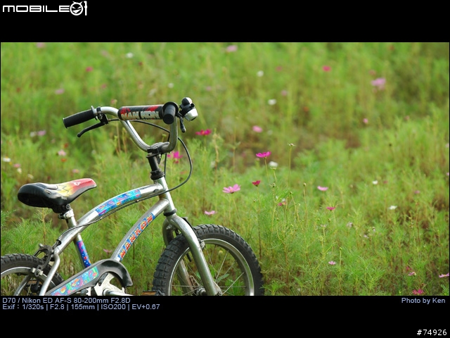 補Nikon AF-S 80-200mm F2.8D小黑四拍攝的真相