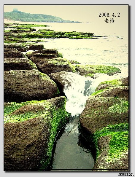 [canon s45]我也來去老梅.......