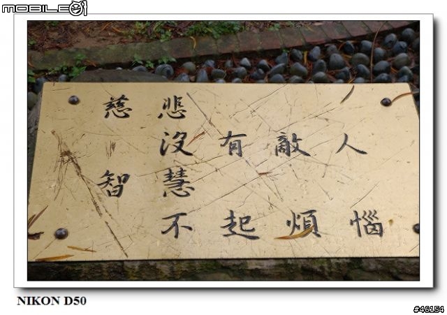 新竹獅頭山的油桐花慘案