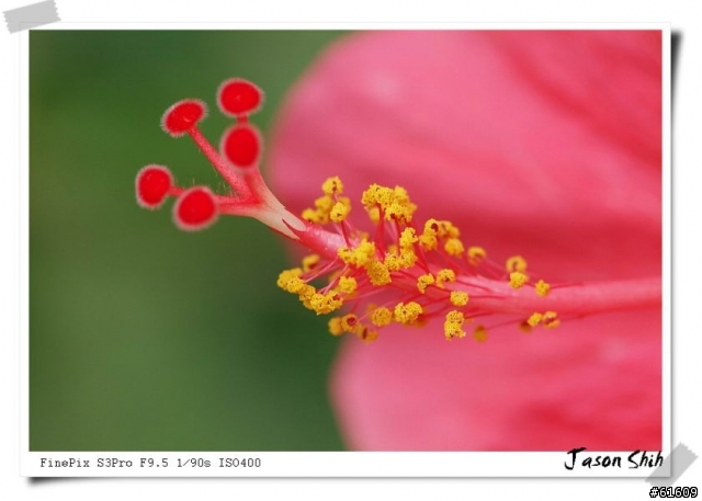 [分享]Fujifilm FinePix S3 Pro DSLR數位單眼~傳說中的人像機皇~(圖多)