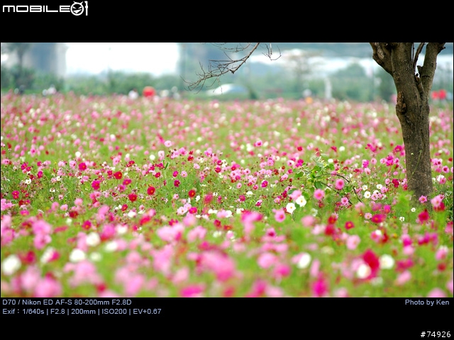 補Nikon AF-S 80-200mm F2.8D小黑四拍攝的真相