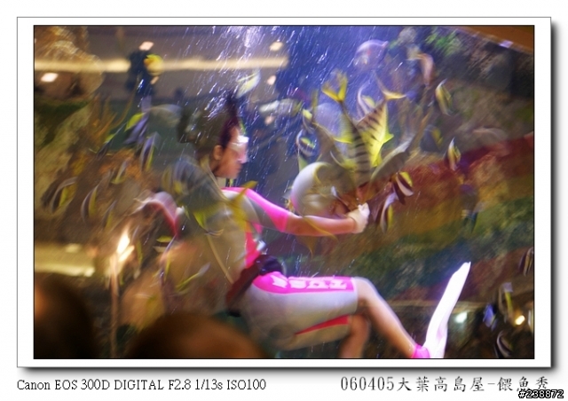 canon300D對焦問題照片檢討(海女)