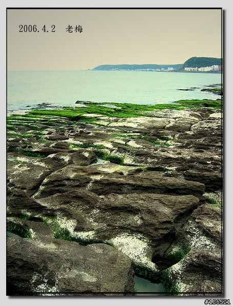 [canon s45]我也來去老梅.......