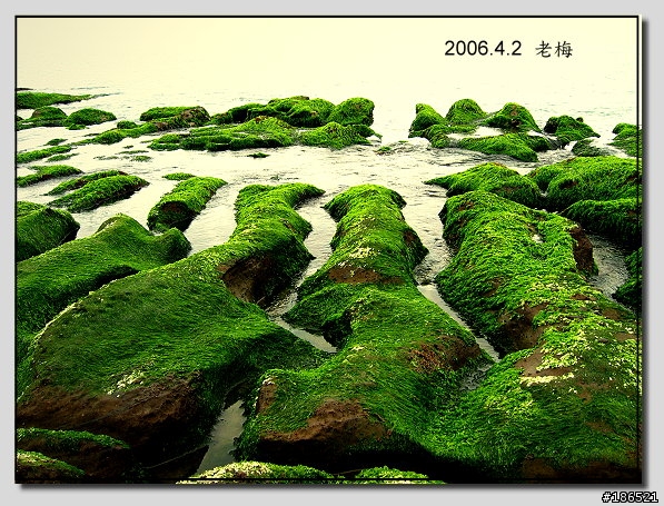 [canon s45]我也來去老梅.......