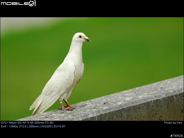 補Nikon AF-S 80-200mm F2.8D小黑四拍攝的真相