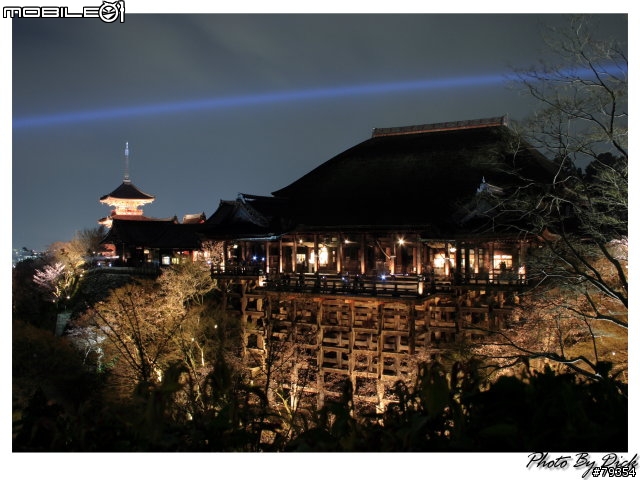 京都 櫻旅