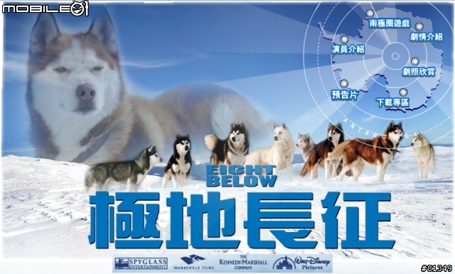 (電影)極地長征看完後感想！