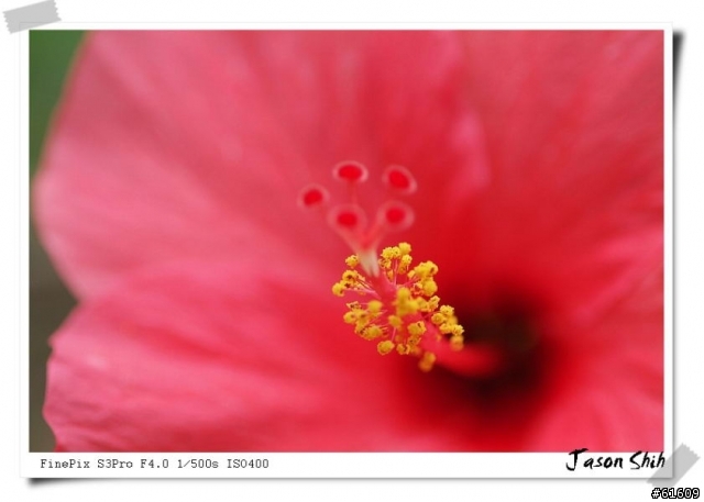 [分享]Fujifilm FinePix S3 Pro DSLR數位單眼~傳說中的人像機皇~(圖多)