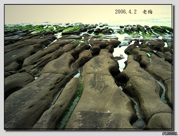 [canon s45]我也來去老梅.......