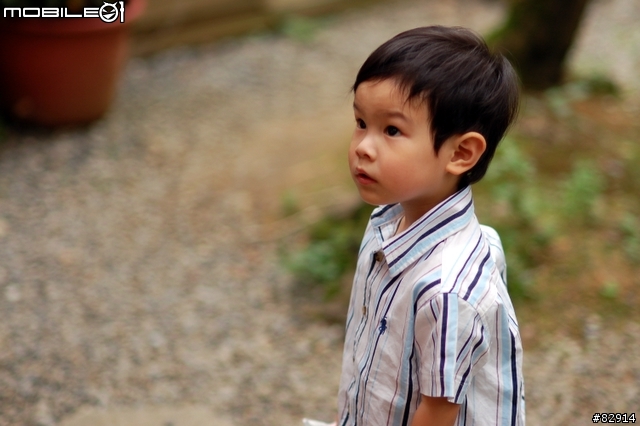 [分享]定焦鏡 Nikkor AF 85mm F1.8D 試拍