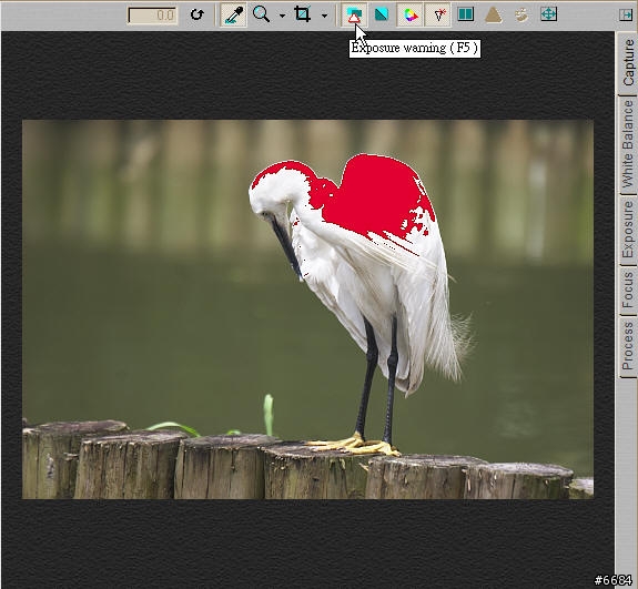 轉RAW檔的利器-Capture One Pro簡介