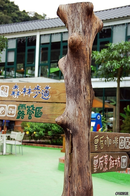皇后鎮森林
