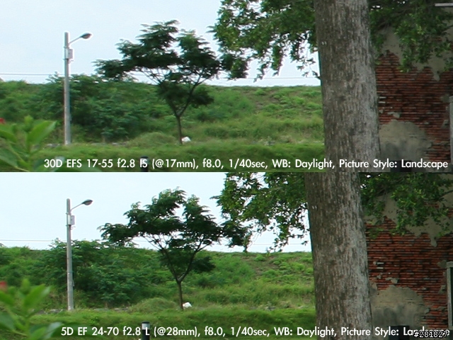 [分享]Canon標準變焦鏡實拍（24-70L+5D vs 17-55 IS + 30D）