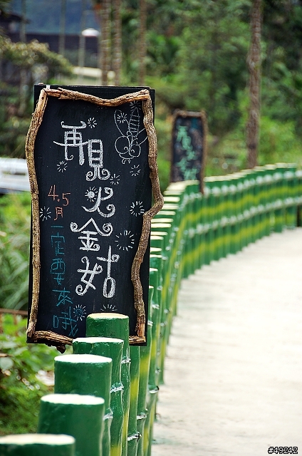 皇后鎮森林