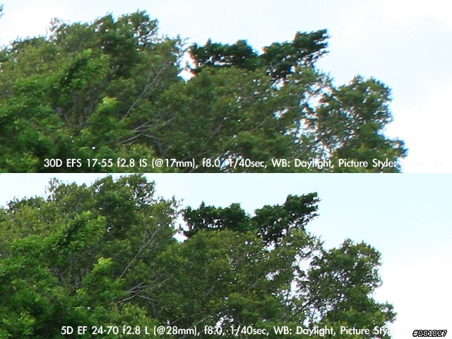 [分享]Canon標準變焦鏡實拍（24-70L+5D vs 17-55 IS + 30D）