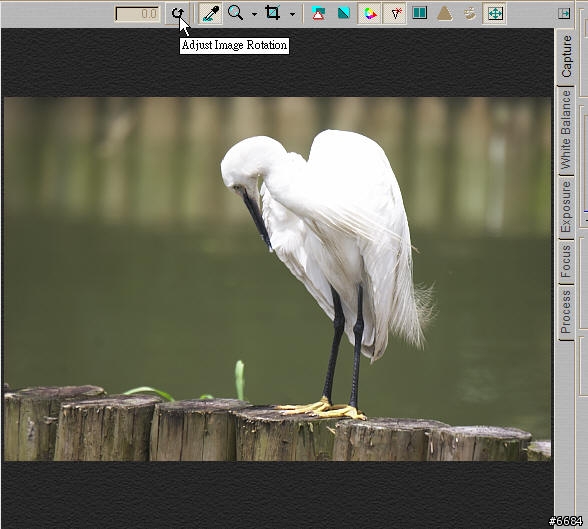 轉RAW檔的利器-Capture One Pro簡介