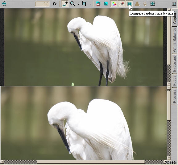 轉RAW檔的利器-Capture One Pro簡介