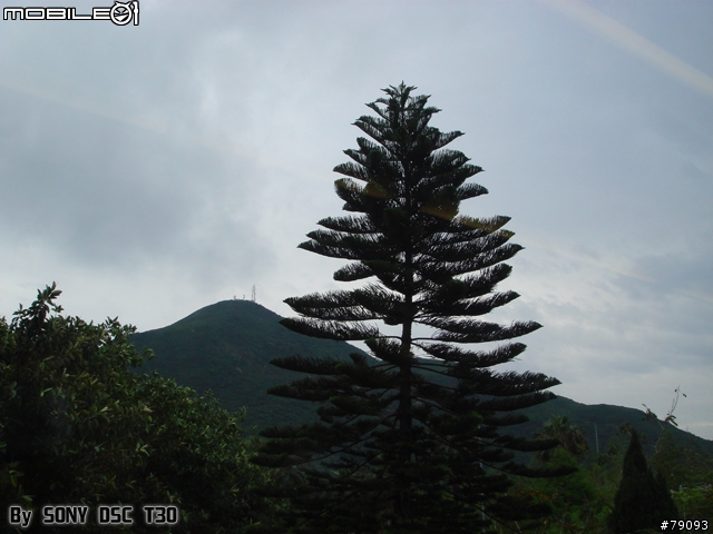[分享] 敗了 SONY DSC T30 (更新第五次, 算是第五次吧, 主要是加了圖)