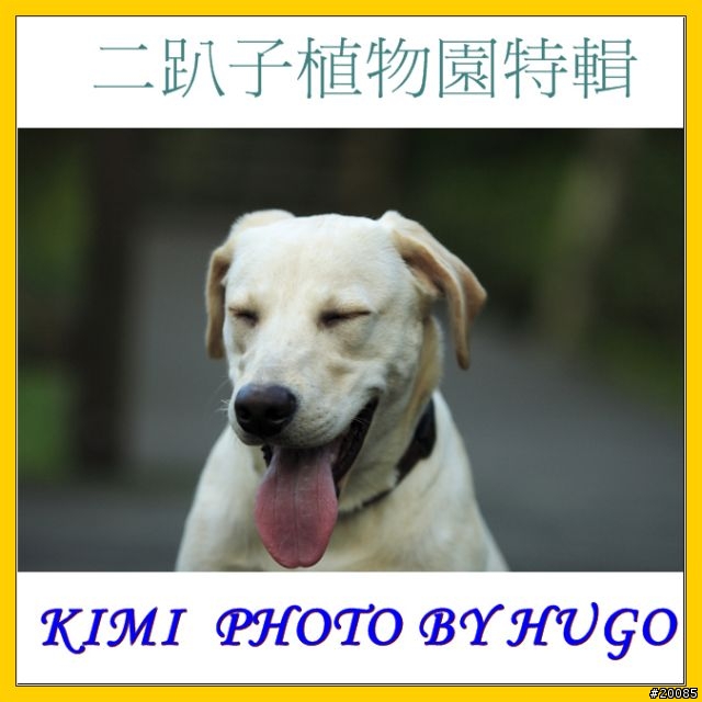 分享----數位相片加框新選擇-超多邊框可選
