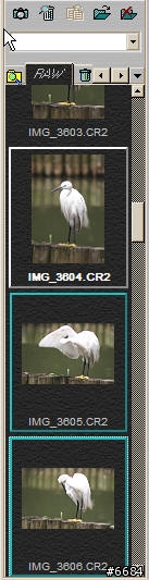 轉RAW檔的利器-Capture One Pro簡介