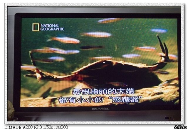 [分享]奇美32" lcdtv N-5325，三年全保固的感動，換到了新的保證卡