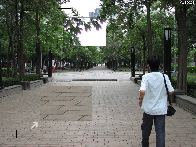 [分享]進化再進化 Canon Powershot S3 IS