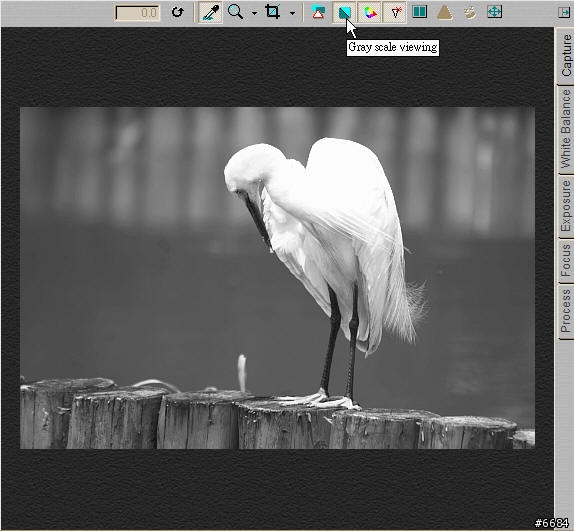 轉RAW檔的利器-Capture One Pro簡介