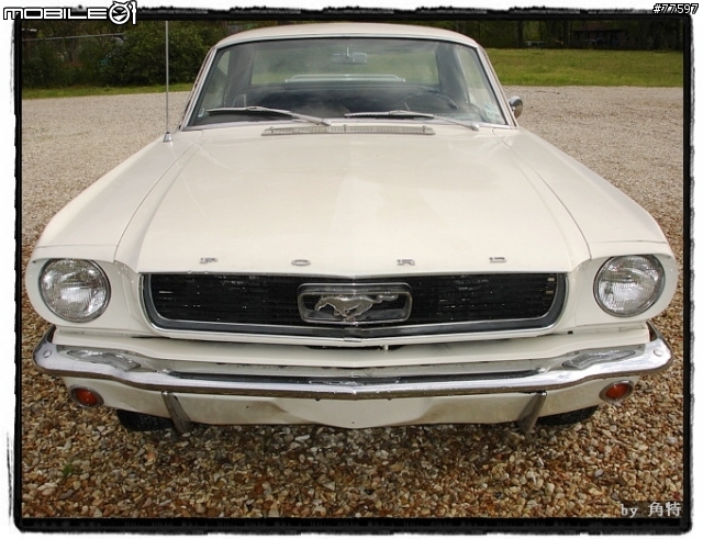 [分享]1966 Ford Mustang