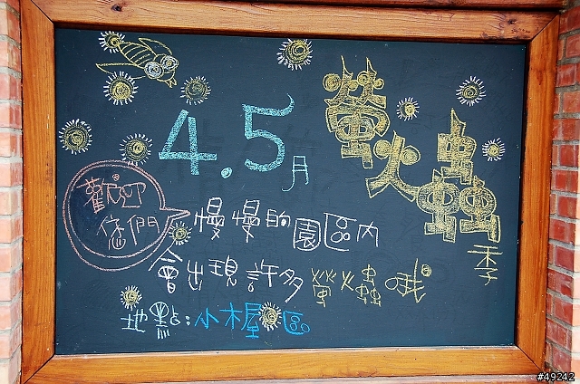 皇后鎮森林
