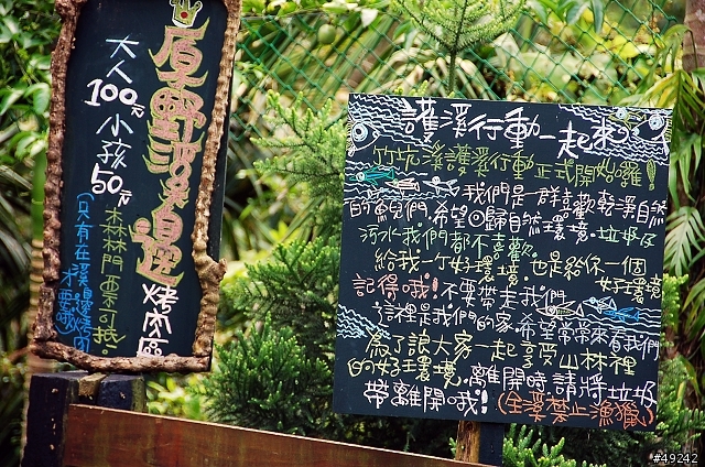 皇后鎮森林