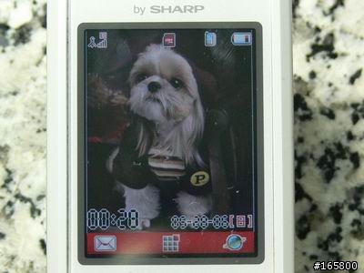 [測試][圖多]原廠vs極致電池狂超猛測
