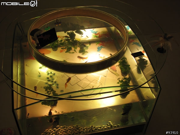 [分享]Canon S3is公司貨入手,AUTO實測(照片已補登)