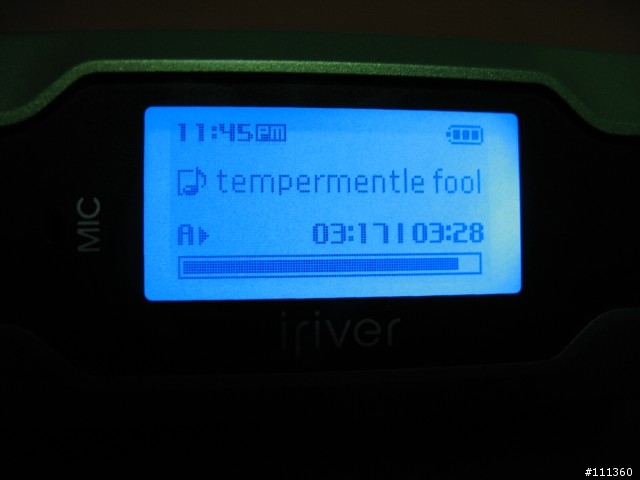 [分享] iriver T30