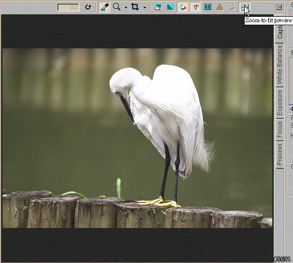 轉RAW檔的利器-Capture One Pro簡介