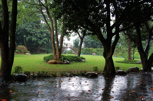 湖水岸香草餐廳