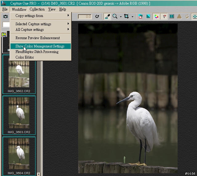 轉RAW檔的利器-Capture One Pro簡介