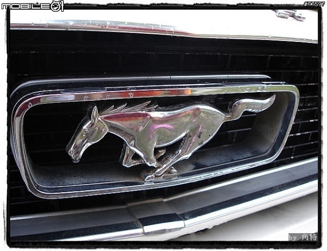 [分享]1966 Ford Mustang