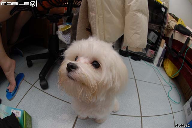 [勸敗分享]AF DX Fisheye Nikkor ED 10.5mm F2.8G
