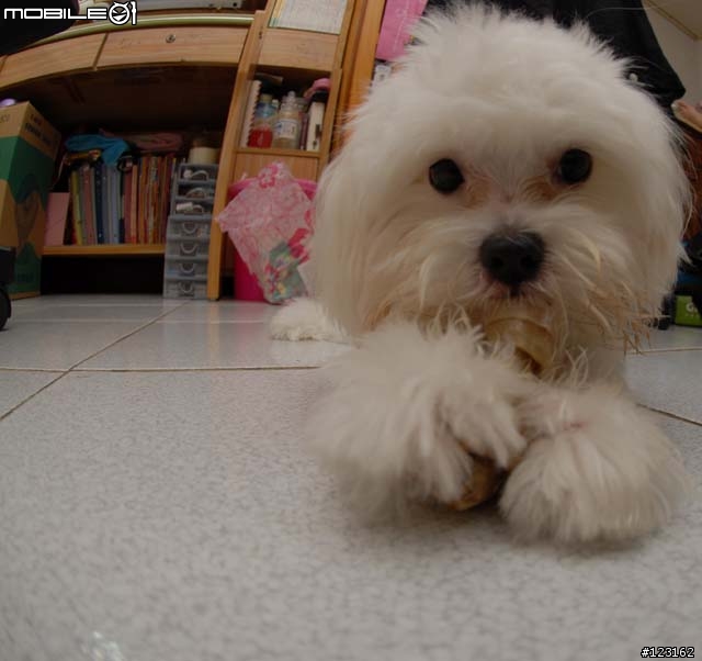 [勸敗分享]AF DX Fisheye Nikkor ED 10.5mm F2.8G