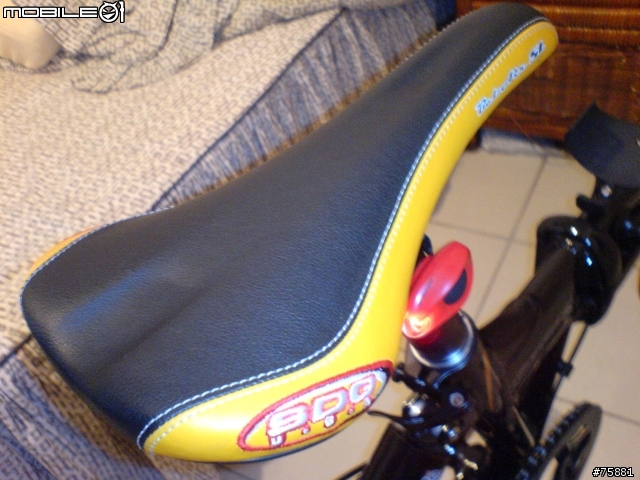 找到了小黑,DAHON JETSTREAM XP