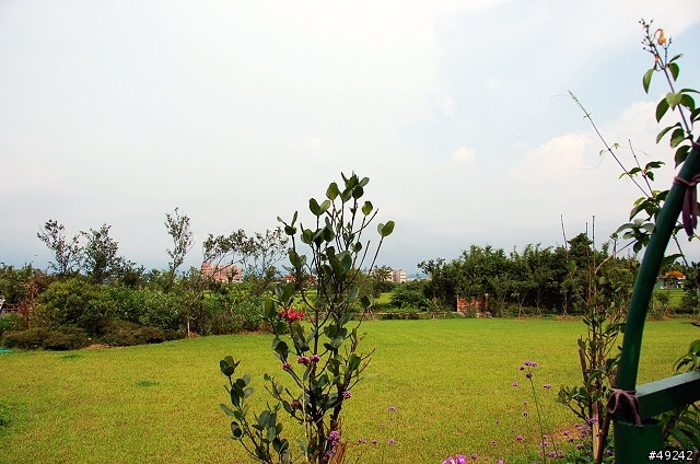 烏樹林花園餐廳 西班牙風味美食