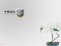 我愛世界盃--電腦桌面也要同步熱血[目前共有20張暫時不會更新了]