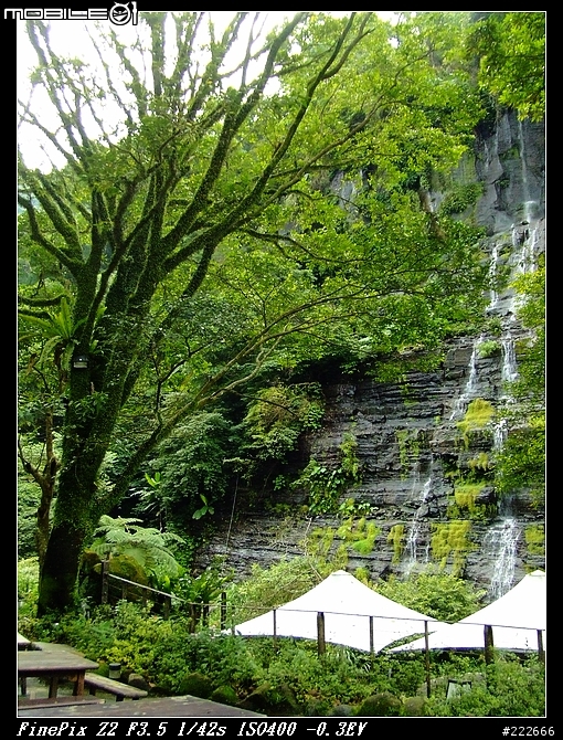 川瀨