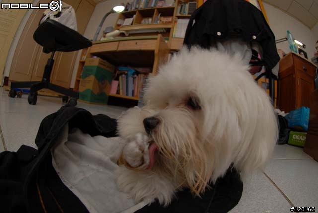 [勸敗分享]AF DX Fisheye Nikkor ED 10.5mm F2.8G